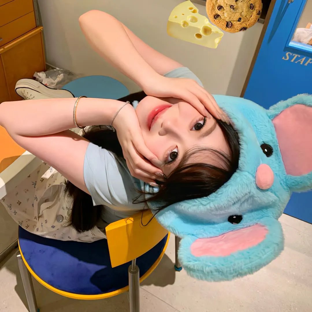 猫的闹剧