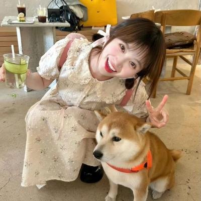 美国情人