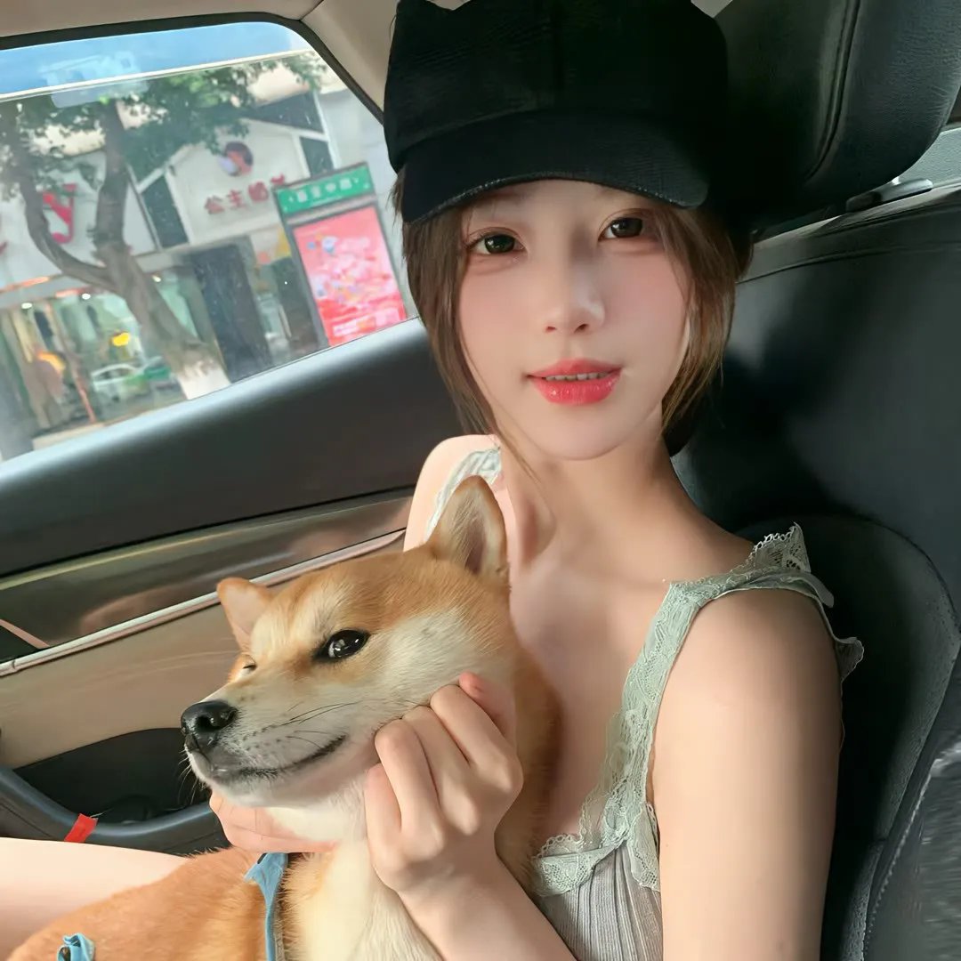 刺猬与城市